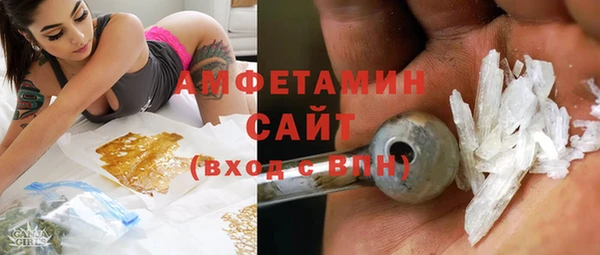 сатива Бородино