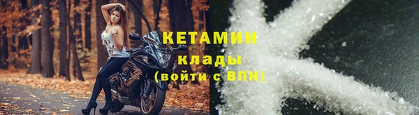 индика Богородицк