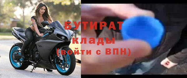 индика Богородицк