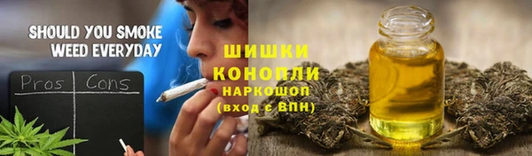 ECSTASY Богданович