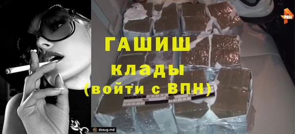 сатива Бородино