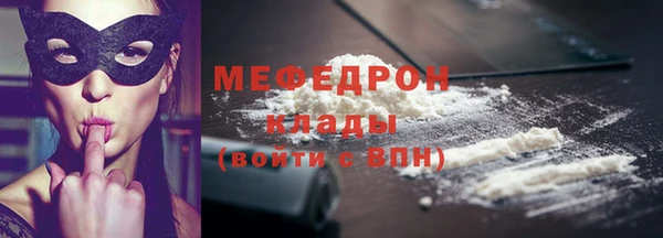 индика Богородицк