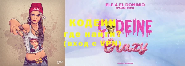 ECSTASY Богданович