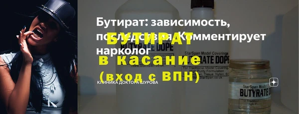 индика Богородицк