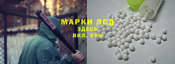 индика Богородицк