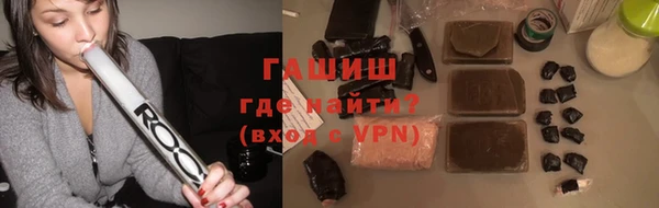 индика Богородицк