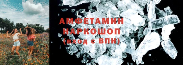 ECSTASY Богданович