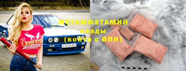 индика Богородицк