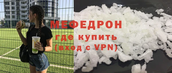 индика Богородицк
