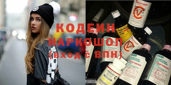 сатива Бородино
