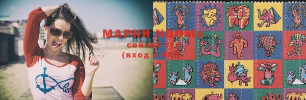 ECSTASY Богданович