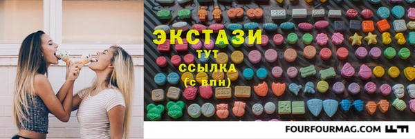 индика Богородицк
