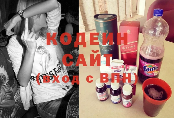 индика Богородицк