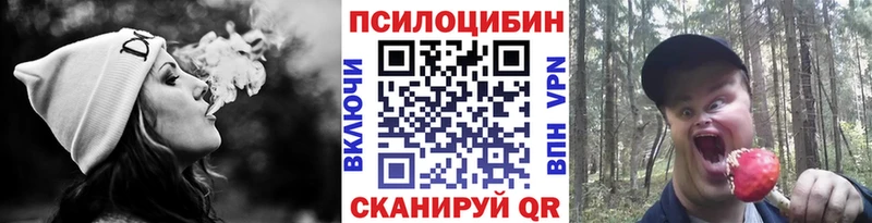 блэк спрут онион  Котельнич  Галлюциногенные грибы ЛСД 